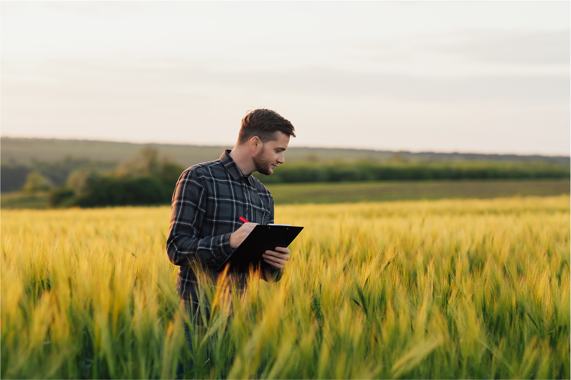 Farmer examines a field